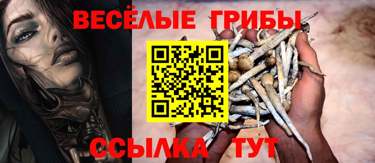 Галлюциногенные грибы Psilocybe Краснокаменск
